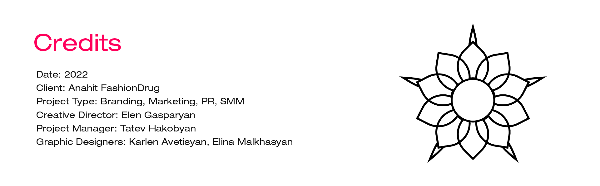 Anahit Fashiondrug brand development project credits