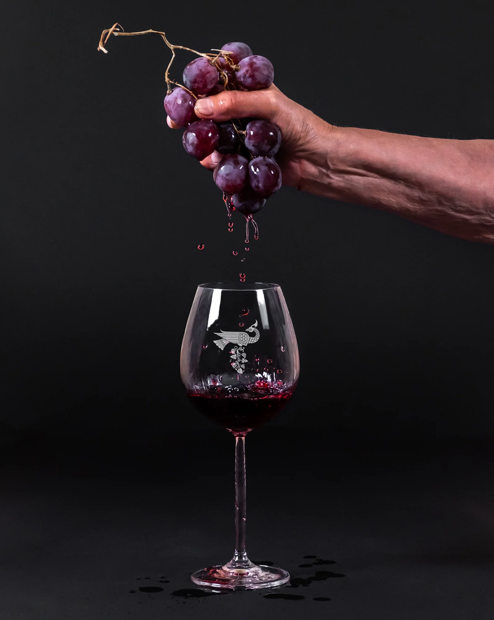 Naming, Branding & Packaging Design for Toonk Wines, image 12
