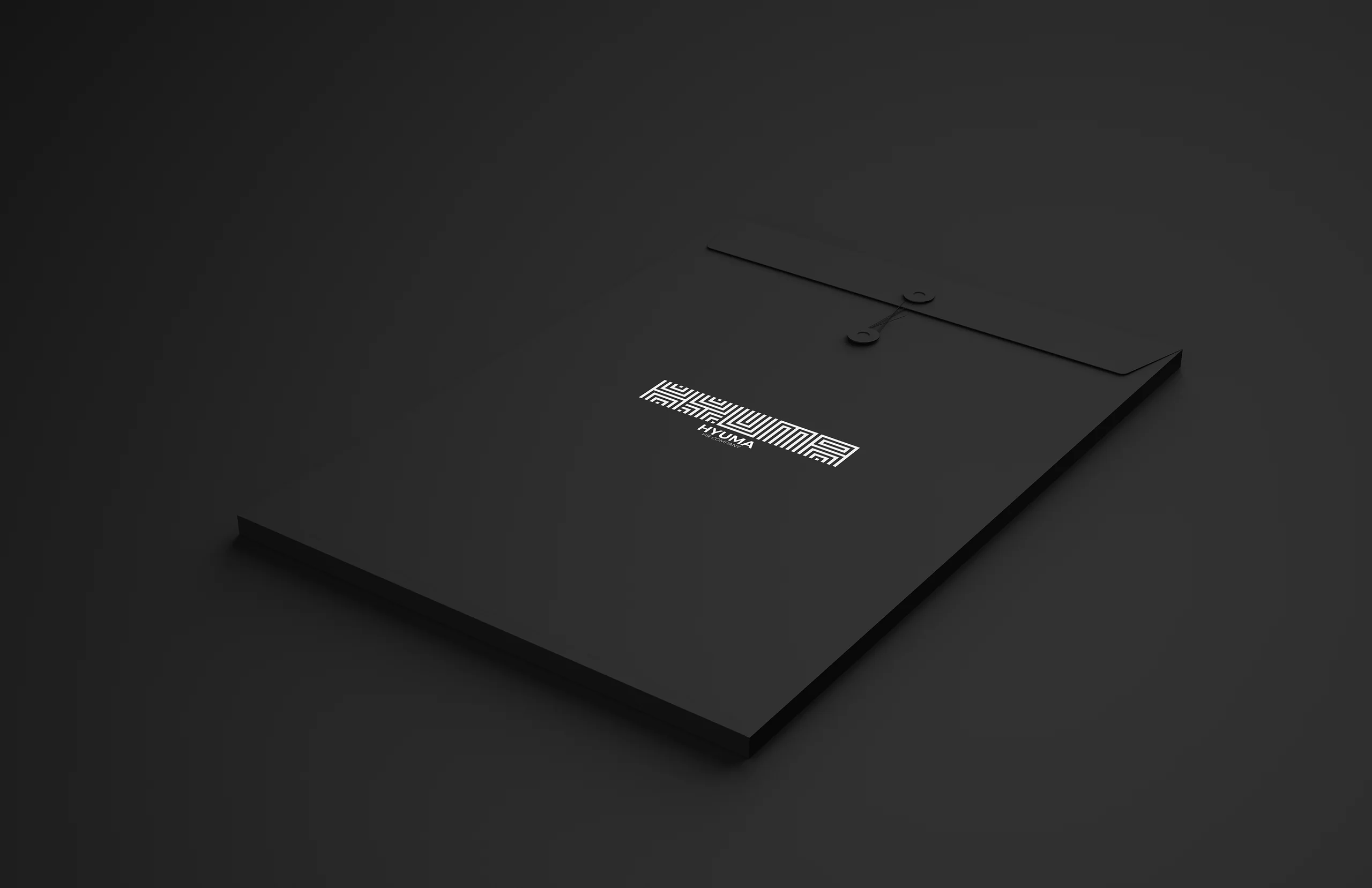 Naming, Branding & Logo Design for Hyuma, image 4