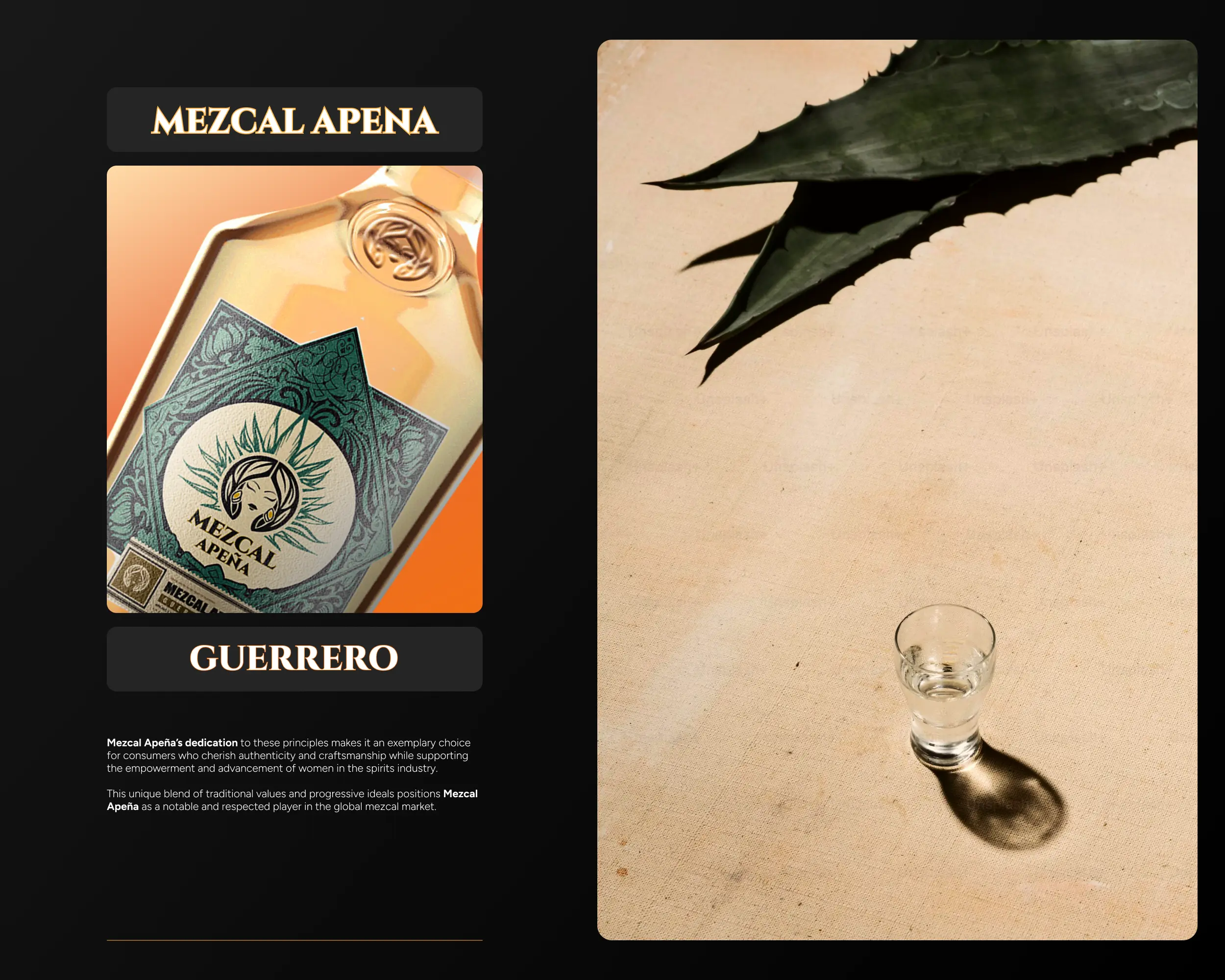 Branding & Logo Design for Mezcal Apeña, image 3
