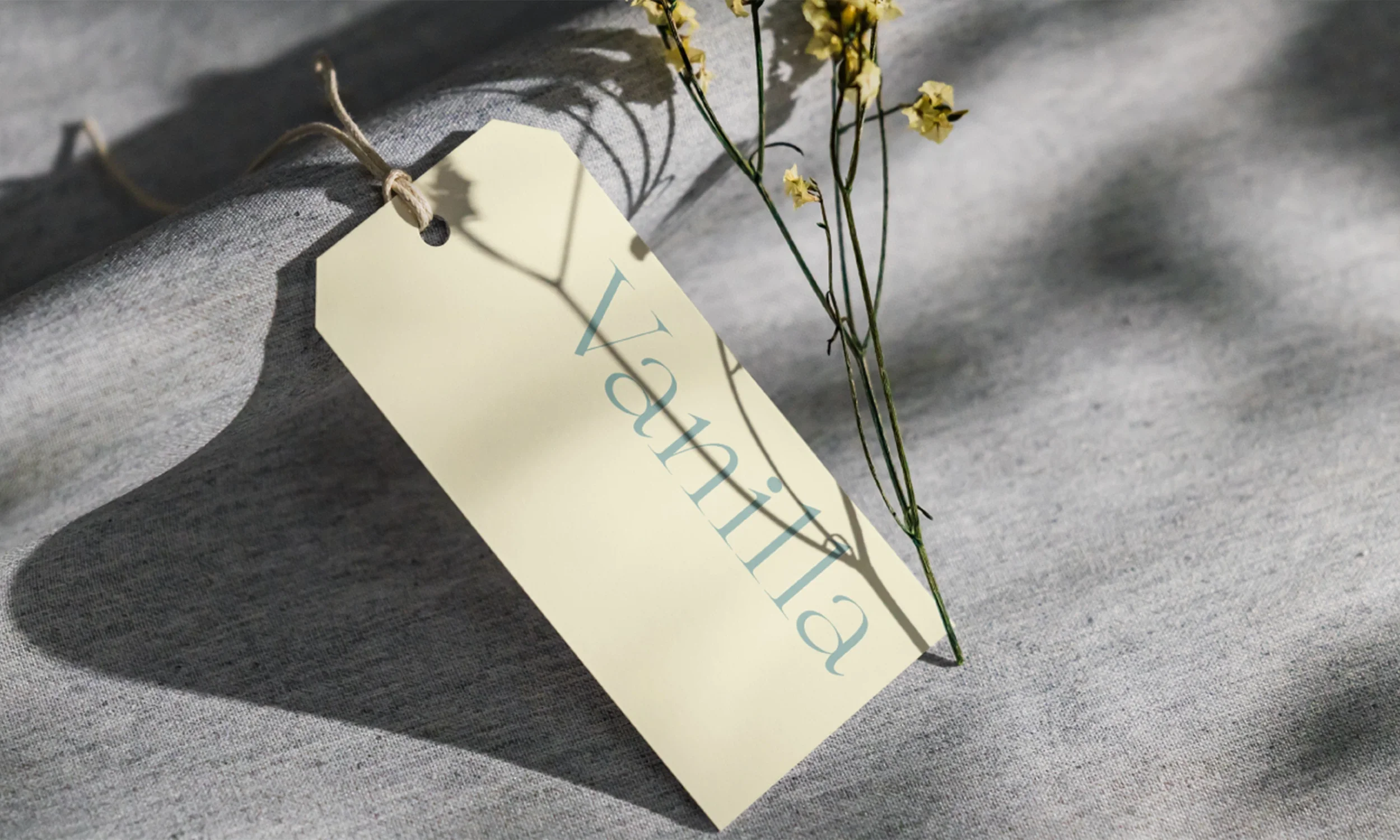 Naming, Branding & Logo Design for Vanilla, image 6