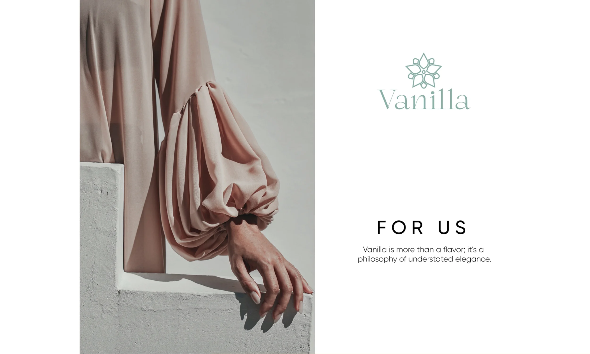 Naming, Branding & Logo Design for Vanilla, image 3