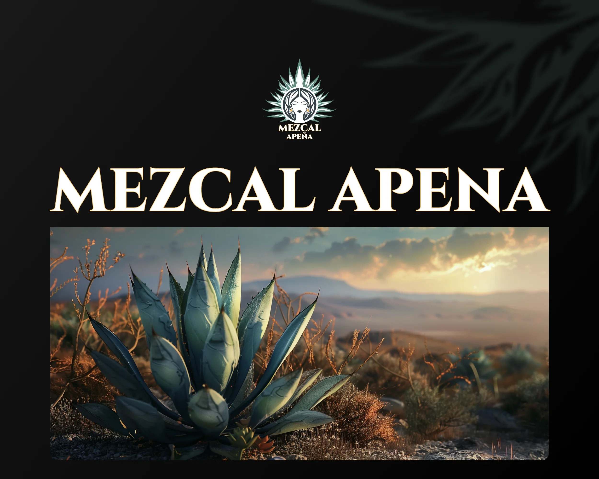 Branding & Logo Design for Mezcal Apeña, image 1