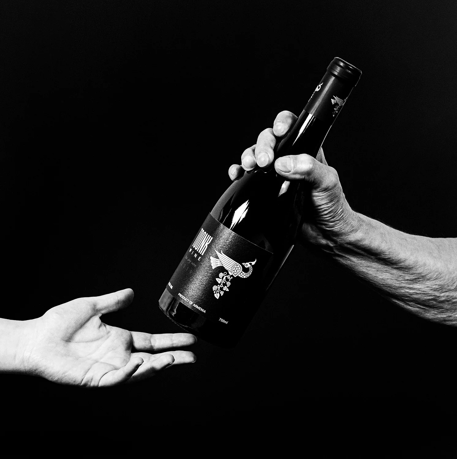 Naming, Branding & Packaging Design for Toonk Wines, image 8